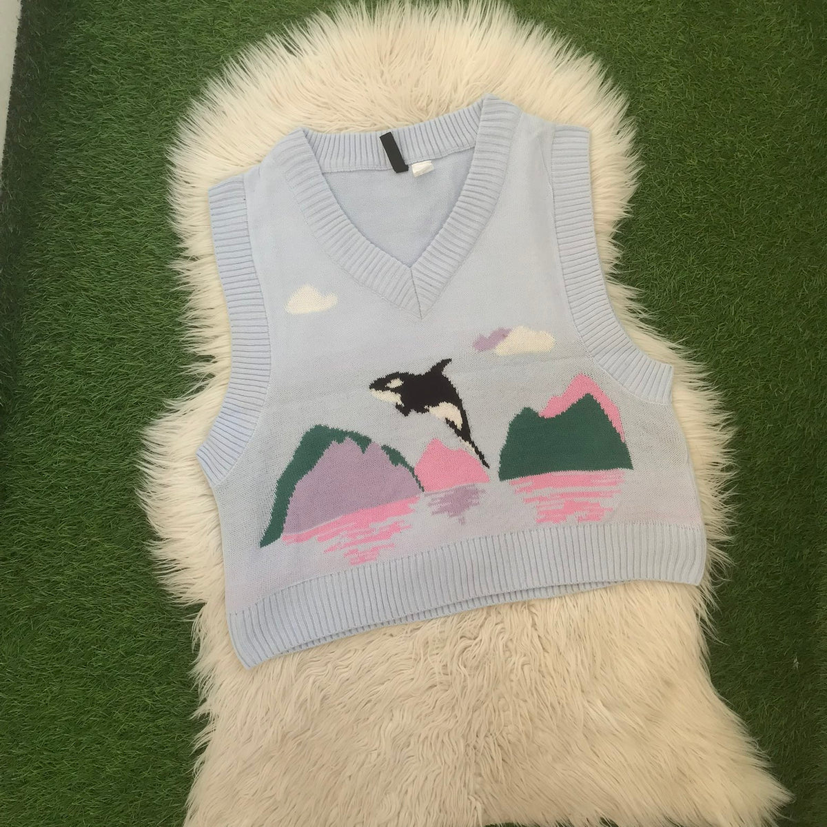 Vest