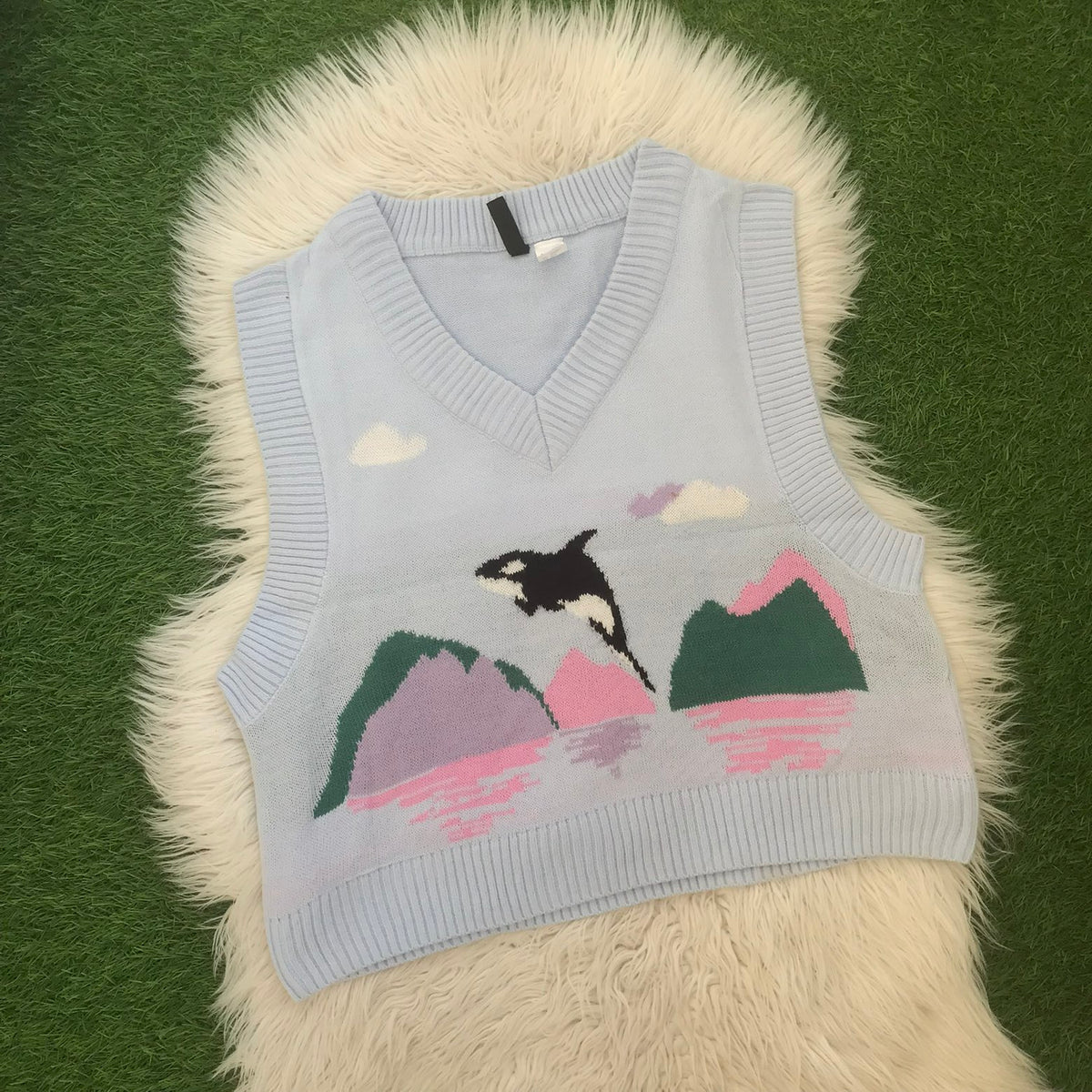 Vest